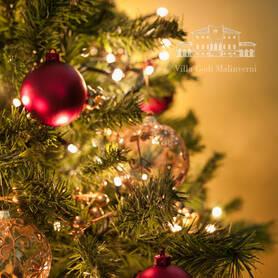 PRANZO DI NATALE 2025