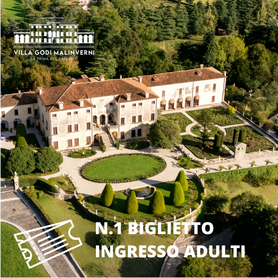 BIGLIETTO INGRESSO ADULTI